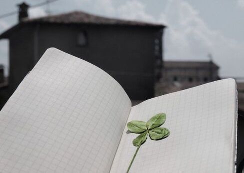 Four-leaf clover - a talisman for success