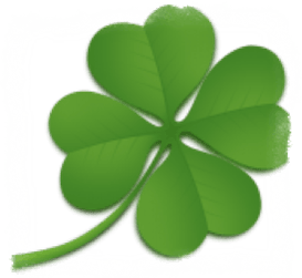 The four-leaf clover is a symbol of success