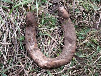 Found horseshoe will serve as a talisman