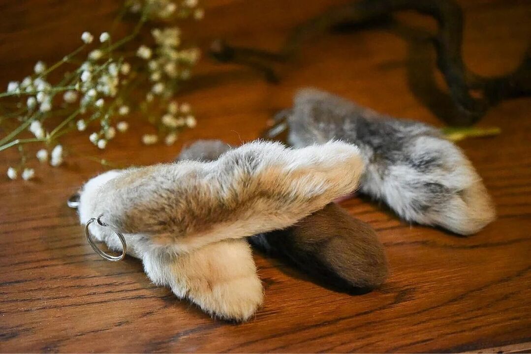 Rabbit's foot for success